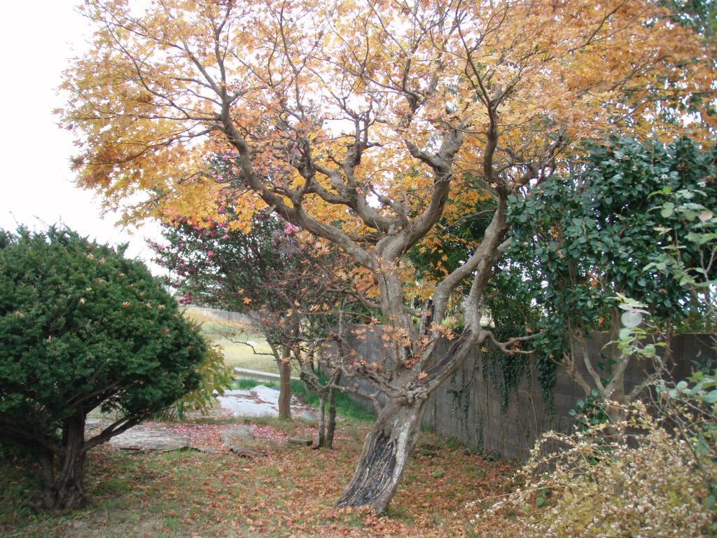 Guesthouse Hokkai Nanao Dış mekan fotoğraf