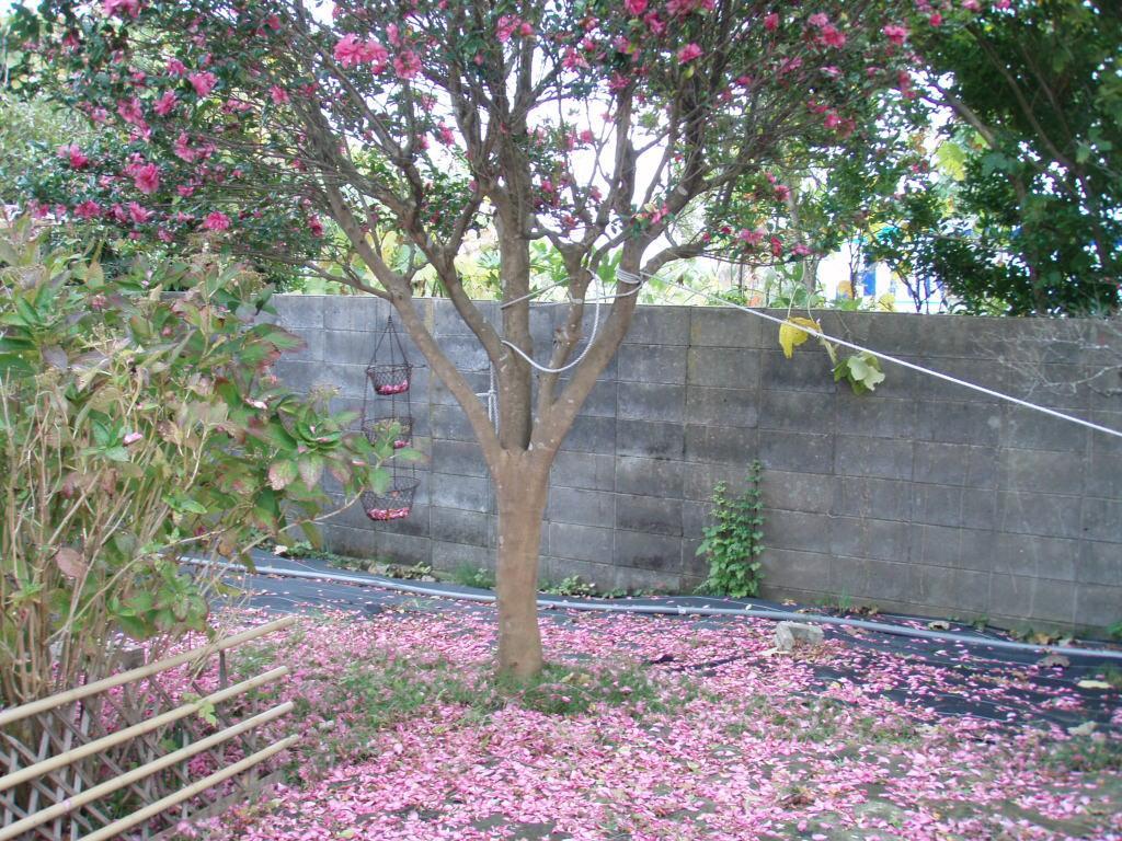 Guesthouse Hokkai Nanao Dış mekan fotoğraf